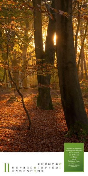 Produktbild: Mythos Wald Literatur-Kalender 2027