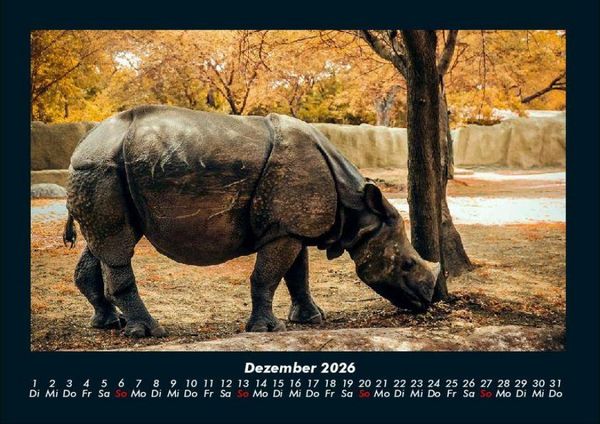 Produktbild: Tiere in der Wildnis 2026 Fotokalender DIN A4