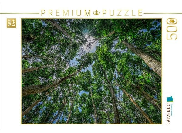 CALVENDO Puzzle Jozani Forest | 500 Teile Lege-Größe 48 × 36 cm Foto-Puzzle für Erwachsene
