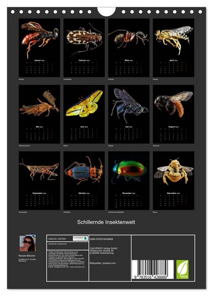 Produktbild: Schillernde Insektenwelt (Wandkalender 2026 DIN A4 hoch), CALVENDO Monatskalender
