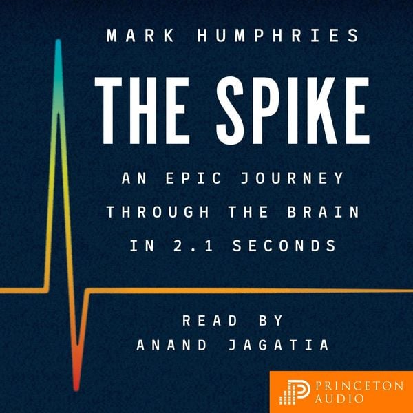 Produktbild: The Spike