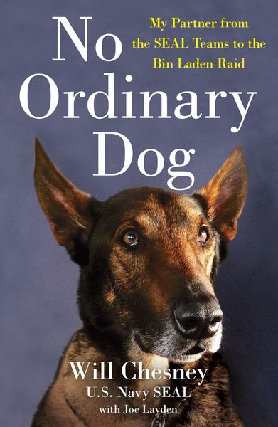 Produktbild: No Ordinary Dog