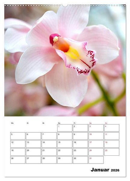Produktbild: Orchideen - Tropische Sch&ouml;nheiten (hochwertiger Premium Wandkalender 2026 DIN A2 hoch), Kunstdruck in Hochglanz