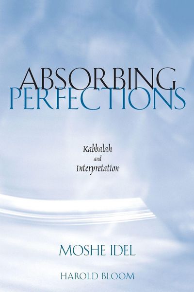 Produktbild: Absorbing Perfections