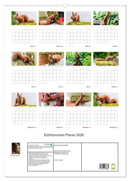 Produktbild: Eichh&ouml;rnchen Planer 2026 (Wandkalender 2026 DIN A2 hoch), CALVENDO Monatskalender