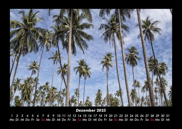Produktbild: Palmentraum 2025 Fotokalender DIN A3