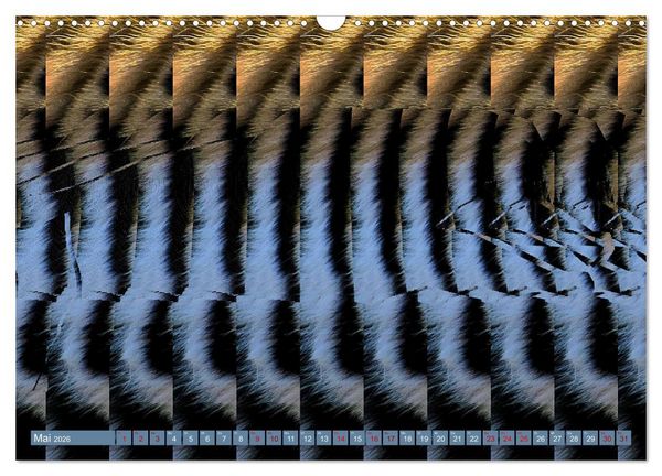 Produktbild: Magische Bilder - fantastische Stereogramme (Wandkalender 2026 DIN A3 quer), CALVENDO Monatskalender