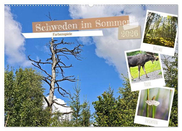 Schweden im Sommer (Wandkalender 2026 DIN A2 quer), CALVENDO Monatskalender
