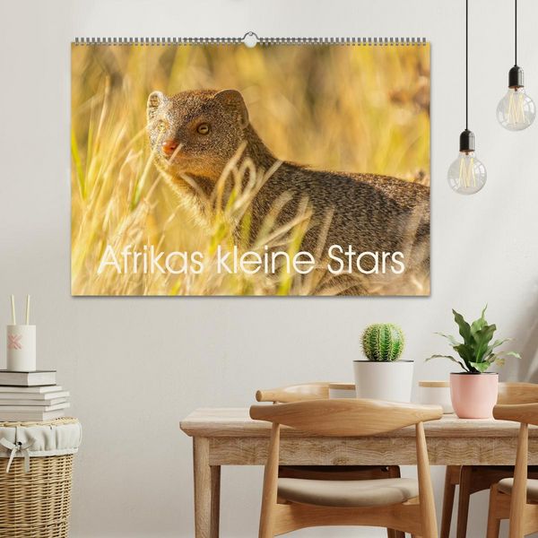 Produktbild: Afrikas kleine Stars (Wandkalender 2026 DIN A2 quer), CALVENDO Monatskalender