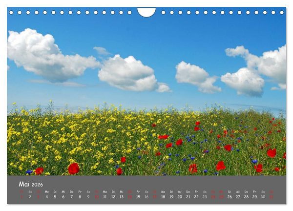 Produktbild: Wundersch&ouml;ne Landschaften des Nordens (Wandkalender 2026 DIN A4 quer), CALVENDO Monatskalender