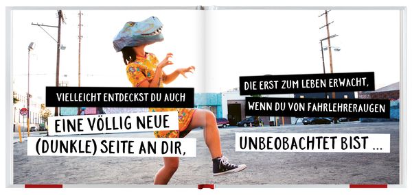 Zum Führerschein - Die Straße gehört jetzt dir!