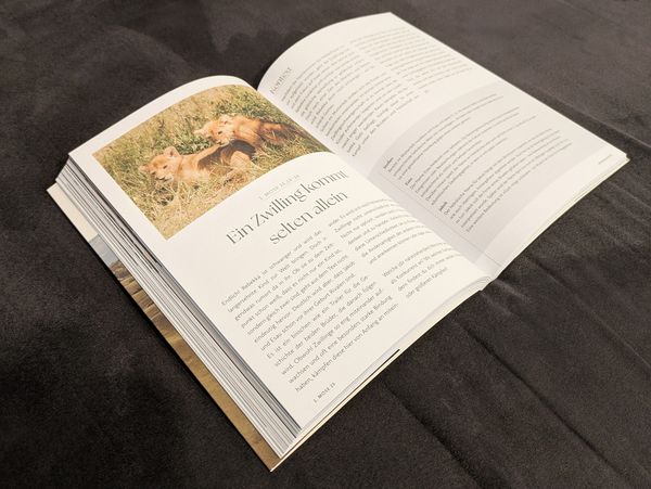 Produktbild: Das Bibellesebuch zu 1. Mose