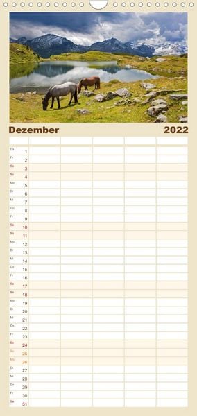 Produktbild: Familienplaner Pferde und Ponys im Paradies (Wandkalender 2022 , 21 cm x 45 cm, hoch)