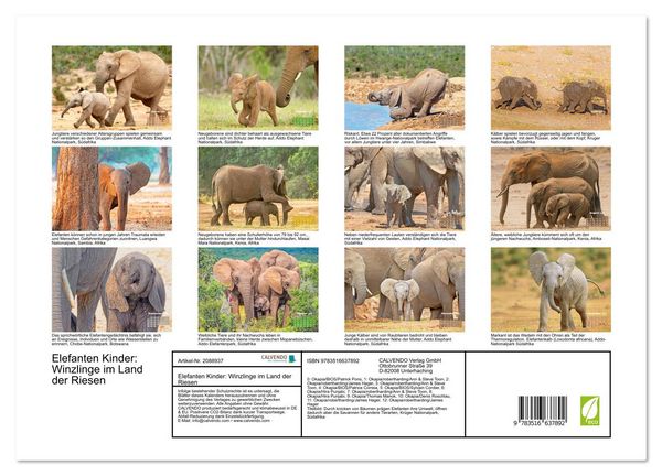 Produktbild: Elefanten Kinder: Winzlinge im Land der Riesen (Wandkalender 2026 DIN A3 quer), CALVENDO Monatskalender