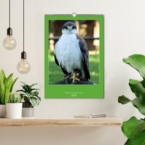 Produktbild: Raubv&ouml;gel - Die J&auml;ger der L&uuml;fte (Wandkalender 2026 DIN A3 hoch), CALVENDO Monatskalender