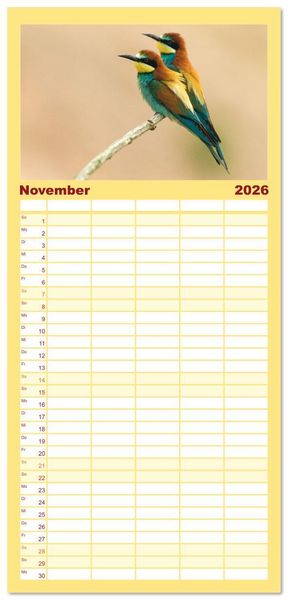 Produktbild: Familienplaner 2026 - Bunte Flieger mit 5 Spalten (Wandkalender, 21 x 45 cm) CALVENDO