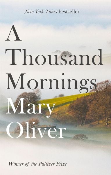 Produktbild: A Thousand Mornings
