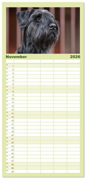 Produktbild: Familienplaner 2026 - Mit dem Riesenschnauzer durch das Jahr mit 5 Spalten (Wandkalender, 21 x 45 cm) CALVENDO