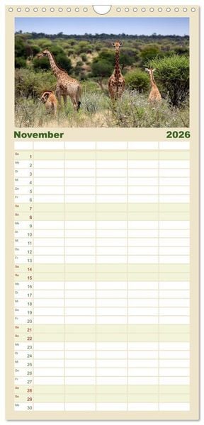 Produktbild: Familienplaner 2026 - Roadtrip in Namibia mit 5 Spalten (Wandkalender, 21 x 45 cm) CALVENDO