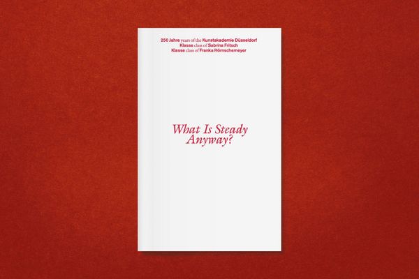Produktbild: What Is Steady Anyway?