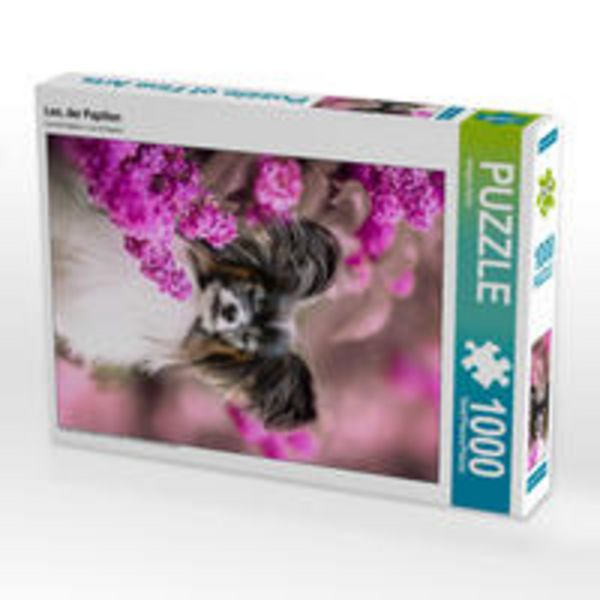 CALVENDO Puzzle Leo, der Papillon 1000 Teile Lege-Größe 480 x 640 cm Foto-Puzzle Bild von None boegau-fotos