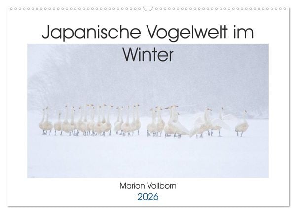 Japanische Vogelwelt im Winter (Wandkalender 2026 DIN A2 quer), CALVENDO Monatskalender