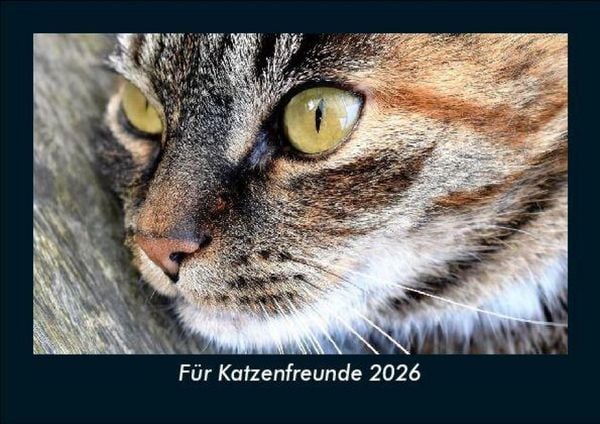 Für Katzenfreunde 2026 Fotokalender DIN A5