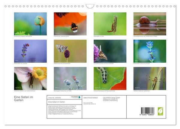 Produktbild: Eine Safari im Garten (Wandkalender 2026 DIN A3 quer), CALVENDO Monatskalender