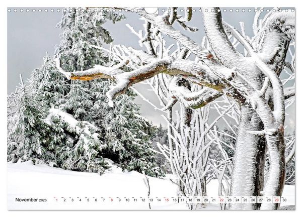 Produktbild: Eiszeit. Winter und Frost in der Natur (Wandkalender 2026 DIN A3 quer), CALVENDO Monatskalender