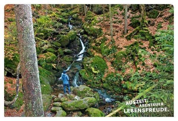 Produktbild: 52 kleine & gro&szlig;e Eskapaden im Bayerischen Wald