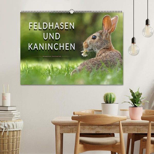Produktbild: Feldhasen und Kaninchen (Wandkalender 2026 DIN A2 quer), CALVENDO Monatskalender