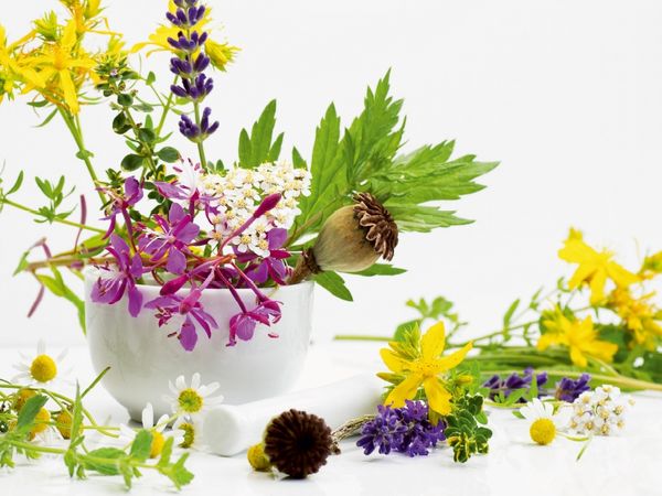 Produktbild: CALVENDO Puzzle Sommer Kr&auml;uter 1000 Teile Lege-Gr&ouml;&szlig;e 64 x 48 cm Foto-Puzzle Bild von Avianaarts Design Fotografie by Tanja Riedel