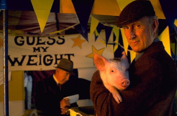 Produktbild: Ein Schweinchen namens Babe