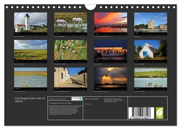 Produktbild: Camargue Entre mer et nature (Calendrier mural 2026 DIN A4 vertical), CALVENDO calendrier mensuel