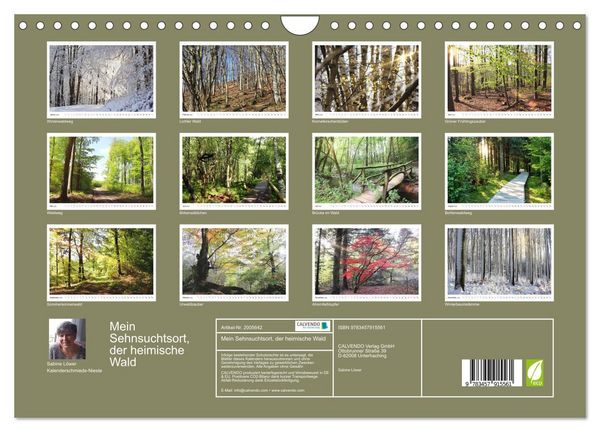 Produktbild: Mein Sehnsuchtsort, der heimische Wald (Wandkalender 2026 DIN A4 quer), CALVENDO Monatskalender