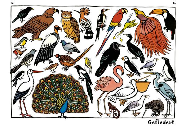 Produktbild: Zoo-ologie