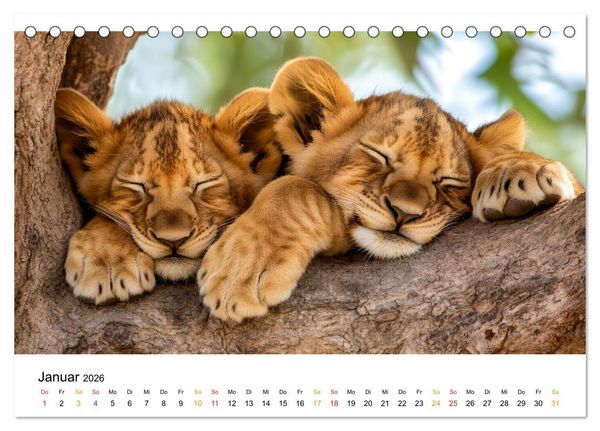 Produktbild: Wenn Tierchen tr&auml;umen (Tischkalender 2026 DIN A5 quer), CALVENDO Monatskalender