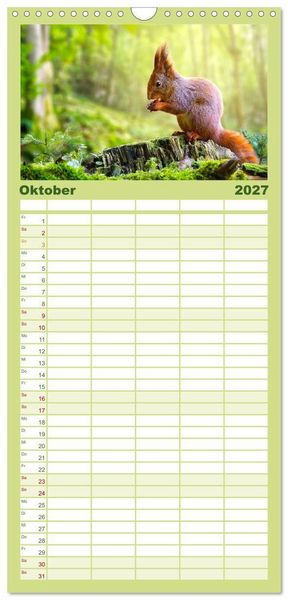 Produktbild: Familienplaner 2027 - Die Tiere des Waldes mit 5 Spalten (Wandkalender, 21 x 45 cm) CALVENDO