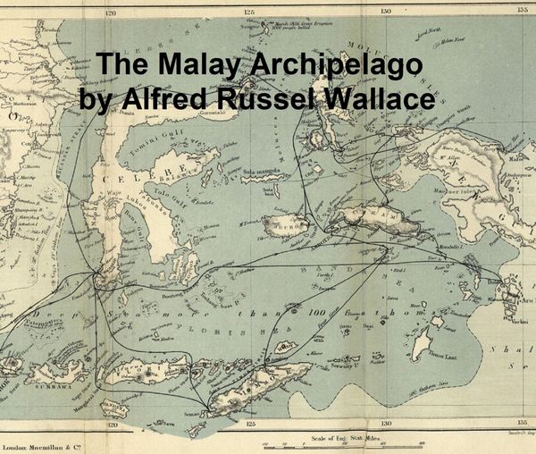 Produktbild: The Malay Archipelago