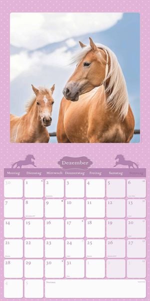 Mein Pferdekalender 2026 - Broschürenkalender 30x30 cm (30x60 geöffnet) - Kalender mit Platz für Notizen - Bildkalender - Wandplaner - Wandkalender