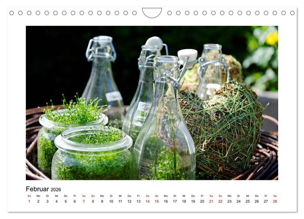 Produktbild: Garten-Idylle 2026 (Wandkalender 2026 DIN A4 quer), CALVENDO Monatskalender