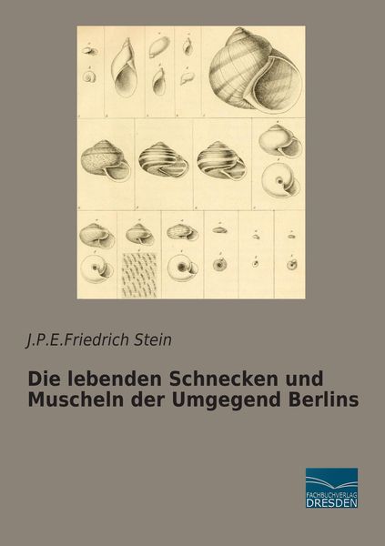 Produktbild: Die lebenden Schnecken und Muscheln der Umgegend Berlins