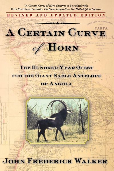 Produktbild: A Certain Curve of Horn