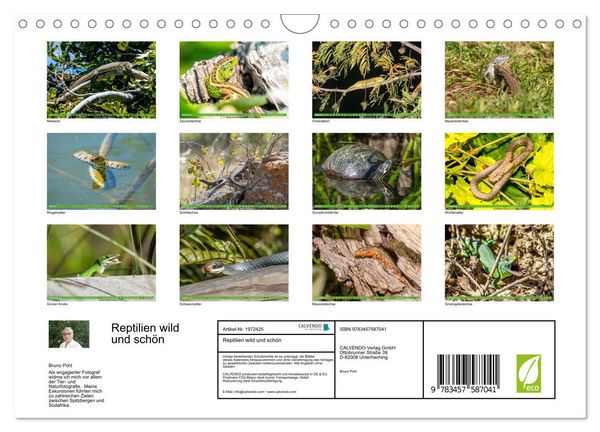 Produktbild: Reptilien wild und sch&ouml;n (Wandkalender 2026 DIN A4 quer), CALVENDO Monatskalender