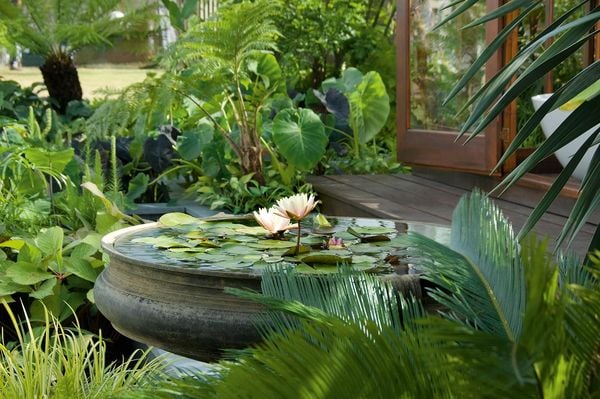 Produktbild: Wasser im Garten 2