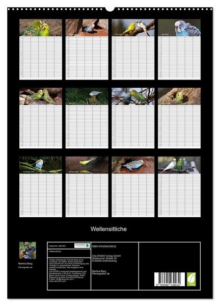 Produktbild: Wellensittiche (hochwertiger Premium Wandkalender 2027 DIN A2 hoch), Kunstdruck in Hochglanz