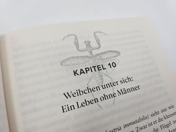 Produktbild: Bitch &ndash; Ein revolution&auml;rer Blick auf Sex, Evolution und die Macht des Weiblichen im Tierreich