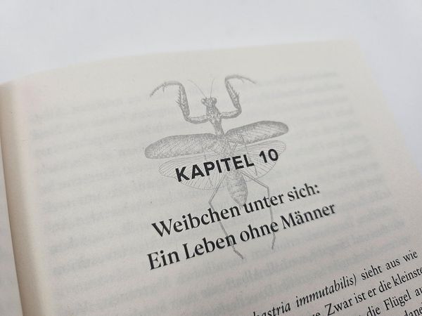 Produktbild: Bitch &ndash; Ein revolution&auml;rer Blick auf Sex, Evolution und die Macht des Weiblichen im Tierreich