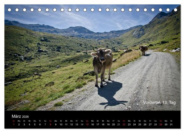 Produktbild: TransAlp - zu Fu&szlig; &uuml;ber die Alpen von M&uuml;nchen nach Venedig (Tischkalender 2026 DIN A5 quer), CALVENDO Monatskalender