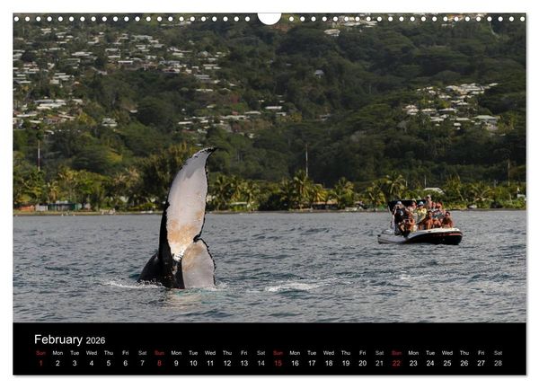 Produktbild: Bora Bora, Paradise islands (Wall Calendar 2026 DIN A3 landscape), CALVENDO 12 Month Wall Calendar